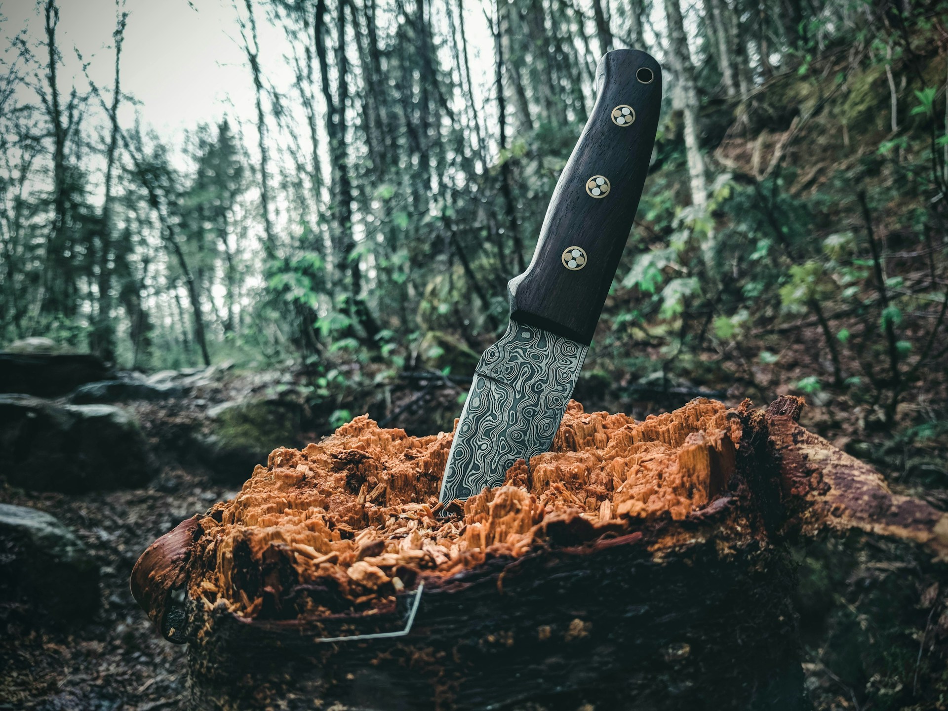 Knife Shop -Knife Shop ali kazal QKCo0sBAm58 unsplash